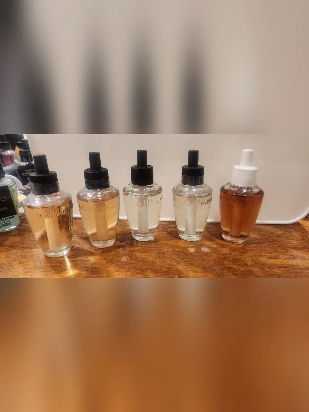 5 Assorted Wallflowers